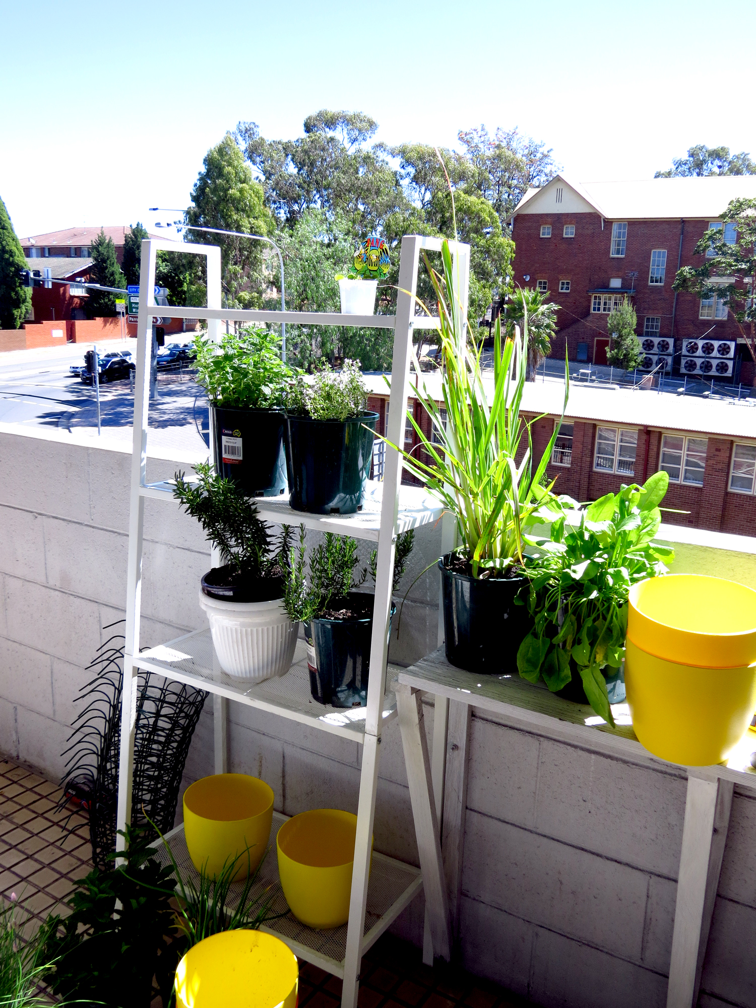 Things You Need For Your Productive Balcony My Productive Backyard