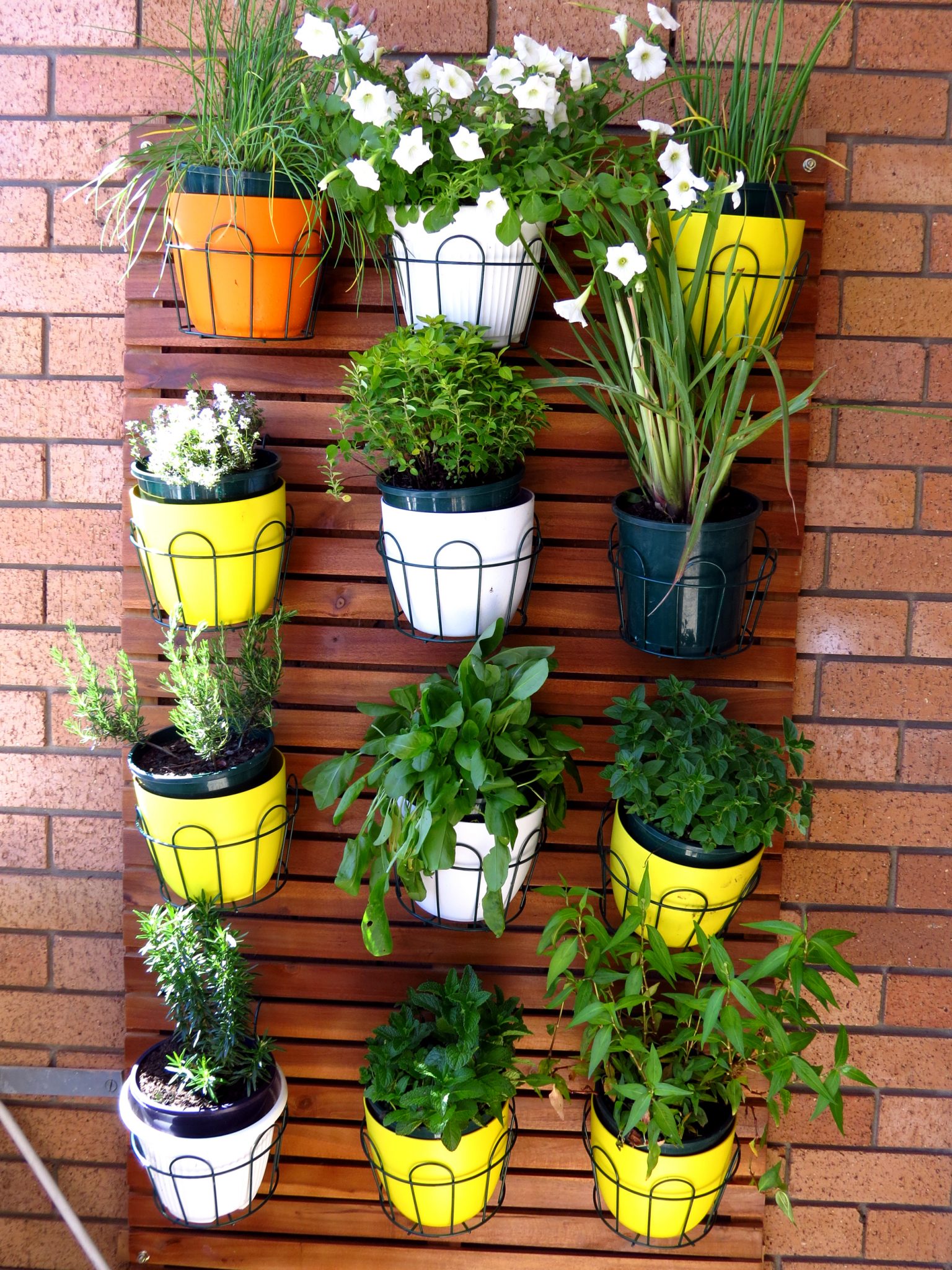 what plants grow best on a balcony garden? - my productive backyard