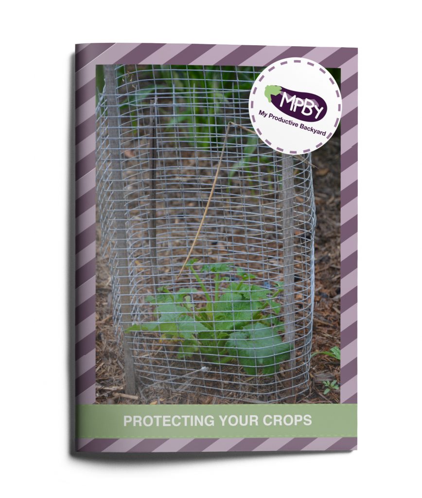 Pest Resistance Protecting Crops Without Harming The Planet - ogvrq9e